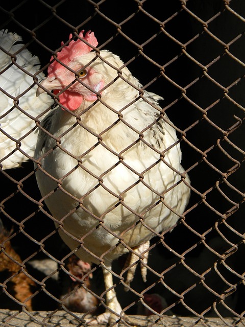 球队更高效 球队更高效