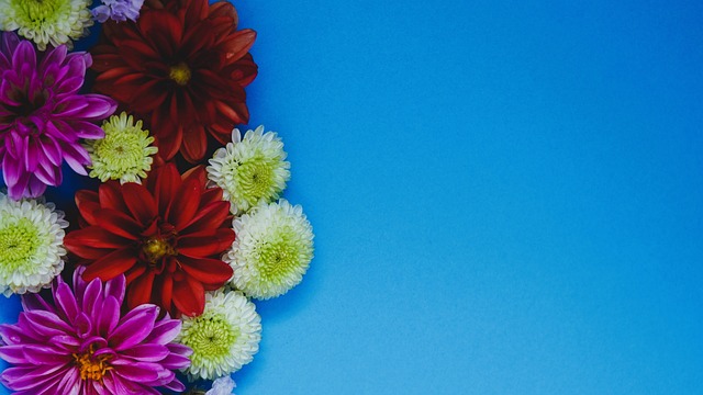 格林用一系 格林用一系