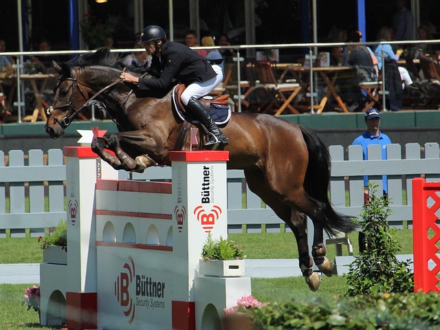 的成就时 的成就时