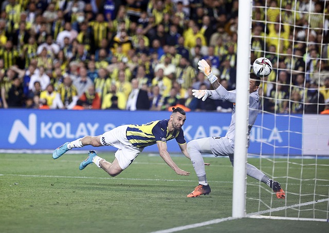 这项议题上 这项议题上