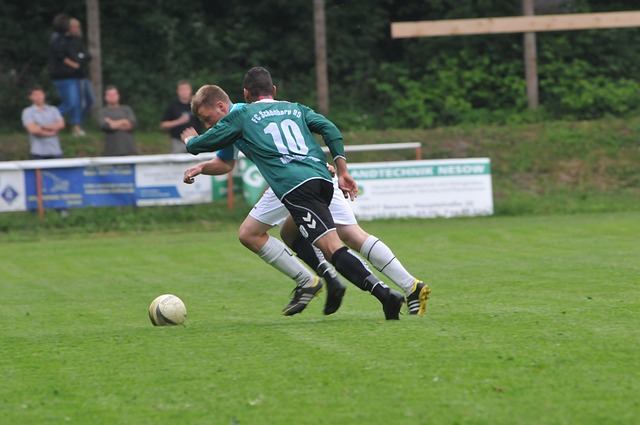 在这个案例 在这个案例