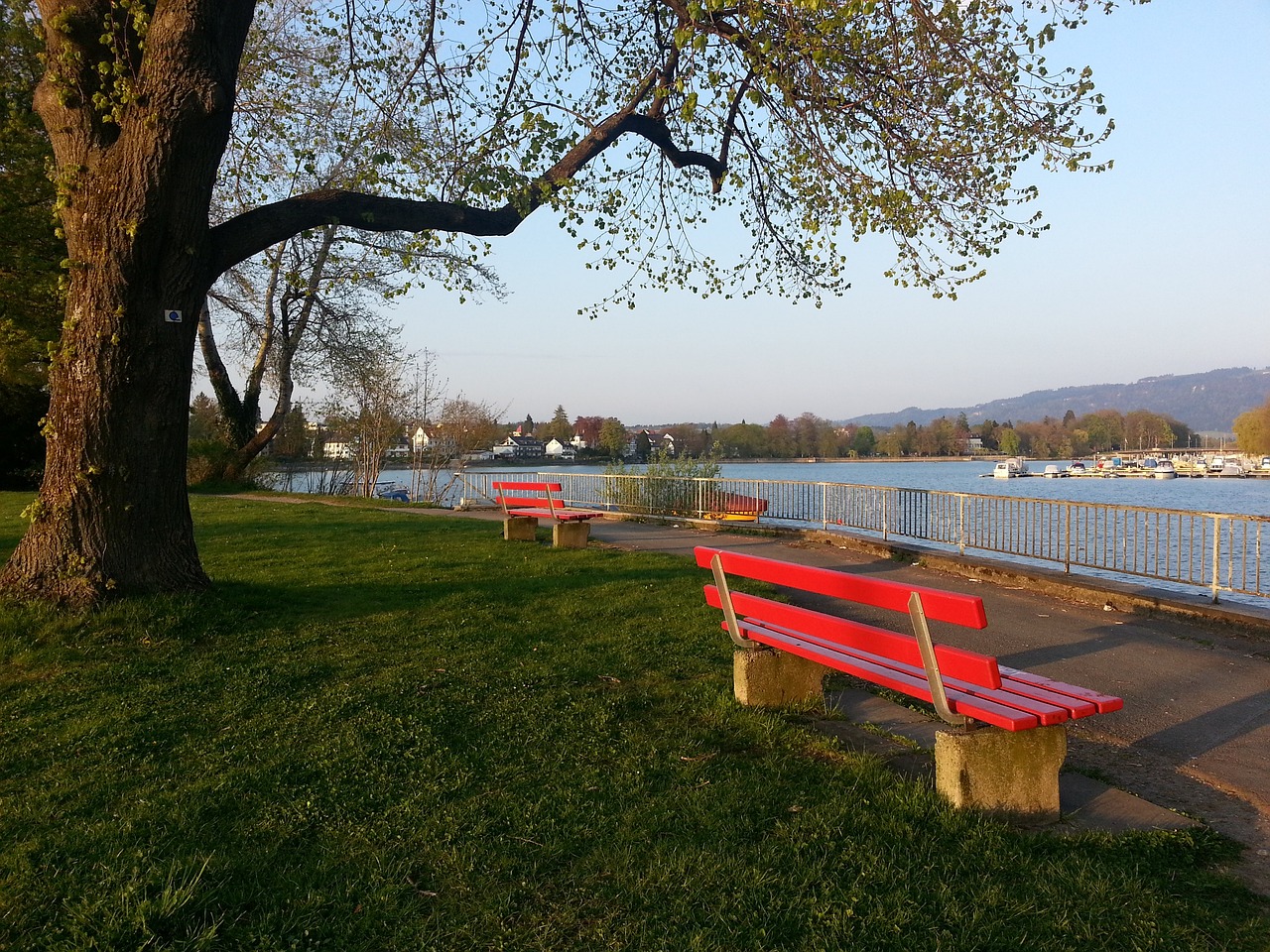 他所带领的 他所带领的