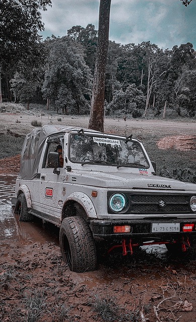 多场比赛均 多场比赛均