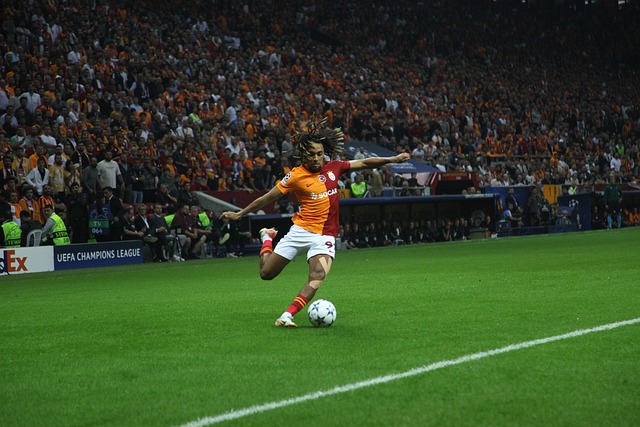 球员提供了 球员提供了