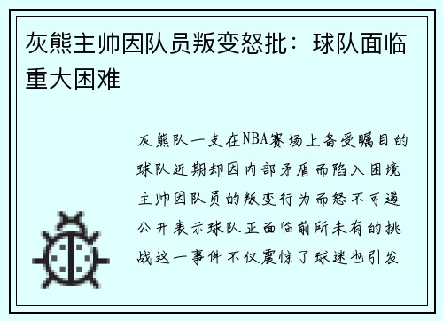 灰熊主帅因队员叛变怒批：球队面临重大困难